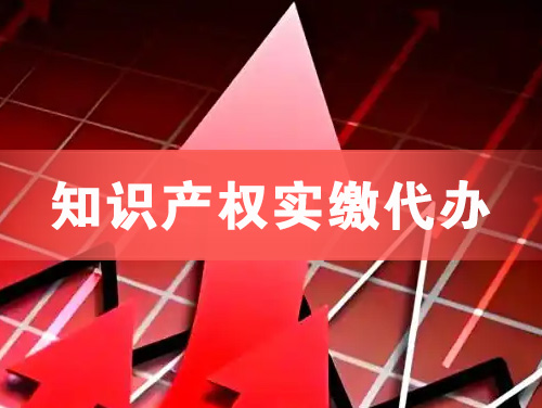 绍兴知识产权实缴资本代办